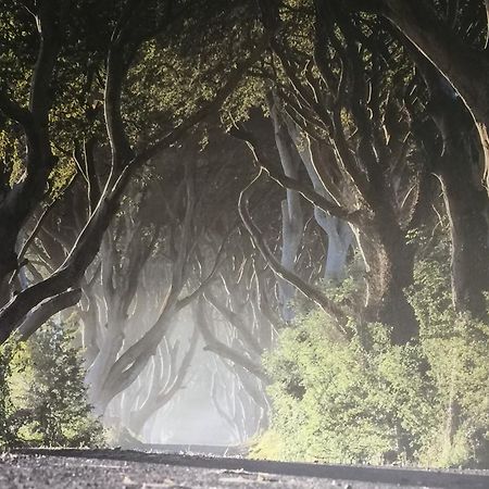 Dark Hedges Cottage Ballycastle Ngoại thất bức ảnh